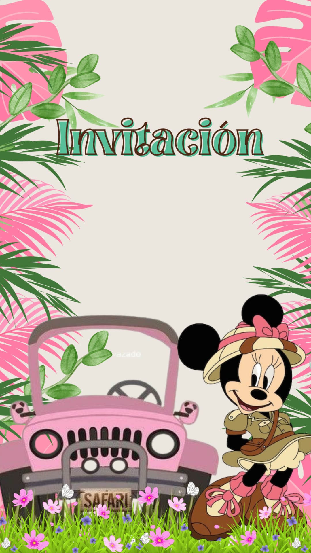 Minnie Safari